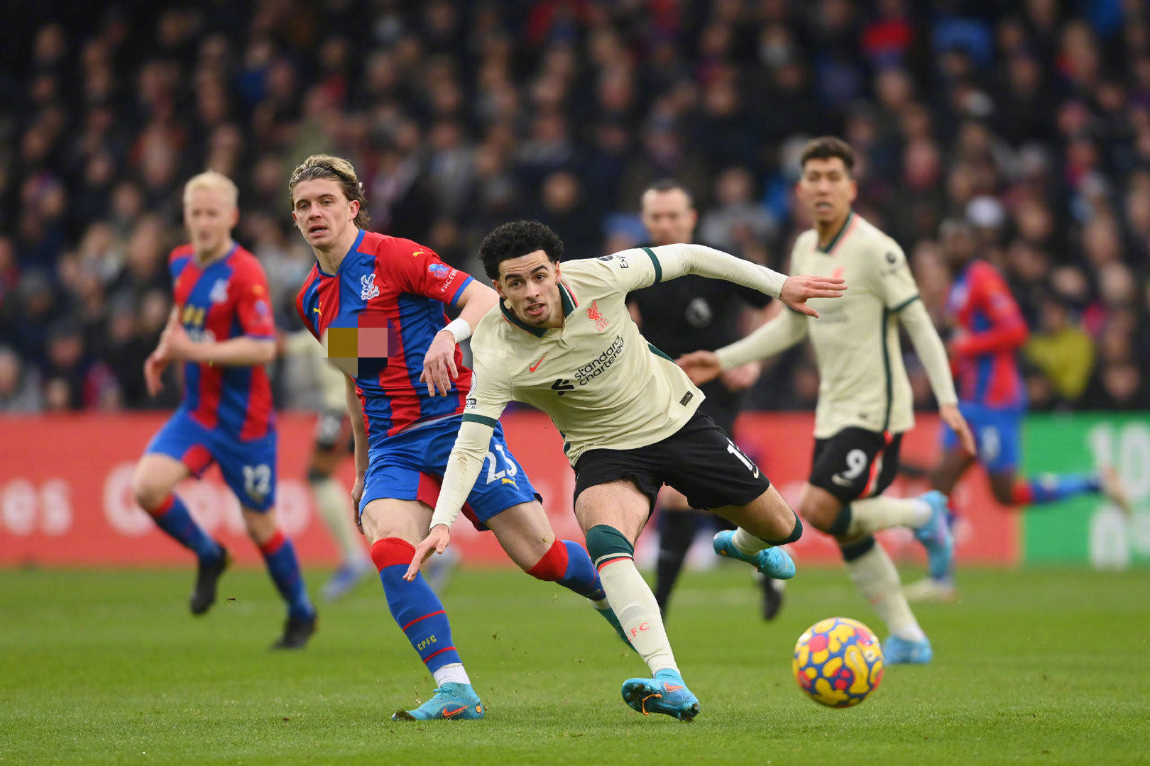 都购买季票 都购买季票